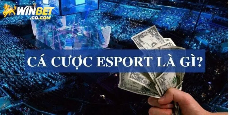 Giới thiệu về game cá cược eSports