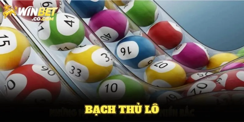 Bạch Thủ Lô - Các Phương Pháp Chơi Đỉnh Cao Từ Chuyên Gia