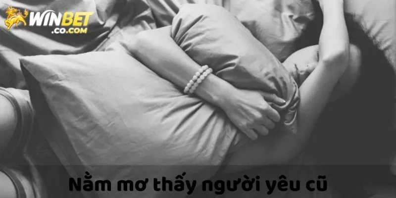 Giải Mã Chi Tiết Mơ Thấy Người Yêu Cũ Từ Chuyên Gia Winbet