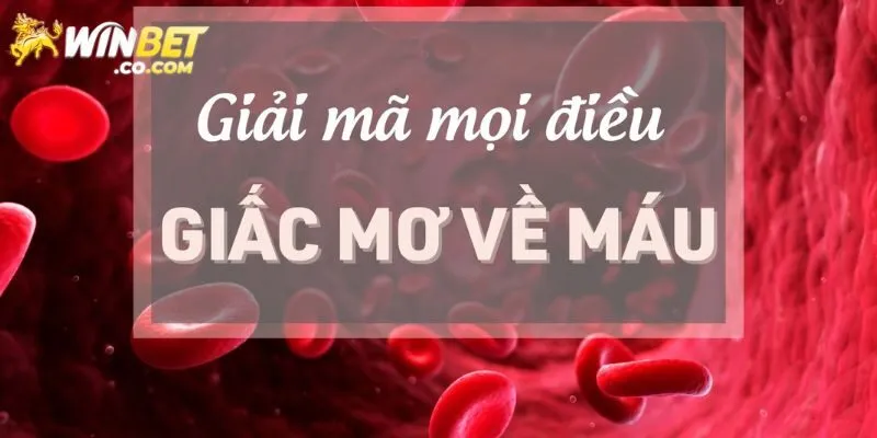 Mơ Thấy Máu Đánh Con Gì - Giải Mã Chi Tiết Từ Winbet