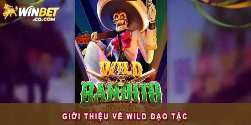 Đôi nét chính về game Wild đạo tặc